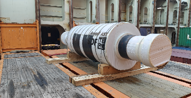 Go Gauge Projects Deliver Breakbulk Shipment from Italy to India